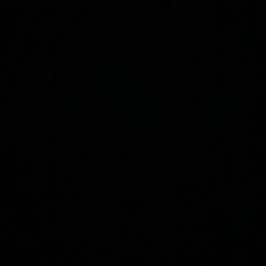 Meet your Posher, Kyra